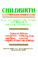 Childbirth: A Consumer's Perspective cover